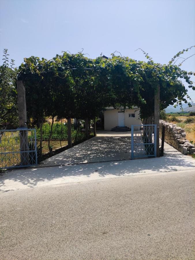 Apartments Markovi Konaci تريبينيي المظهر الخارجي الصورة